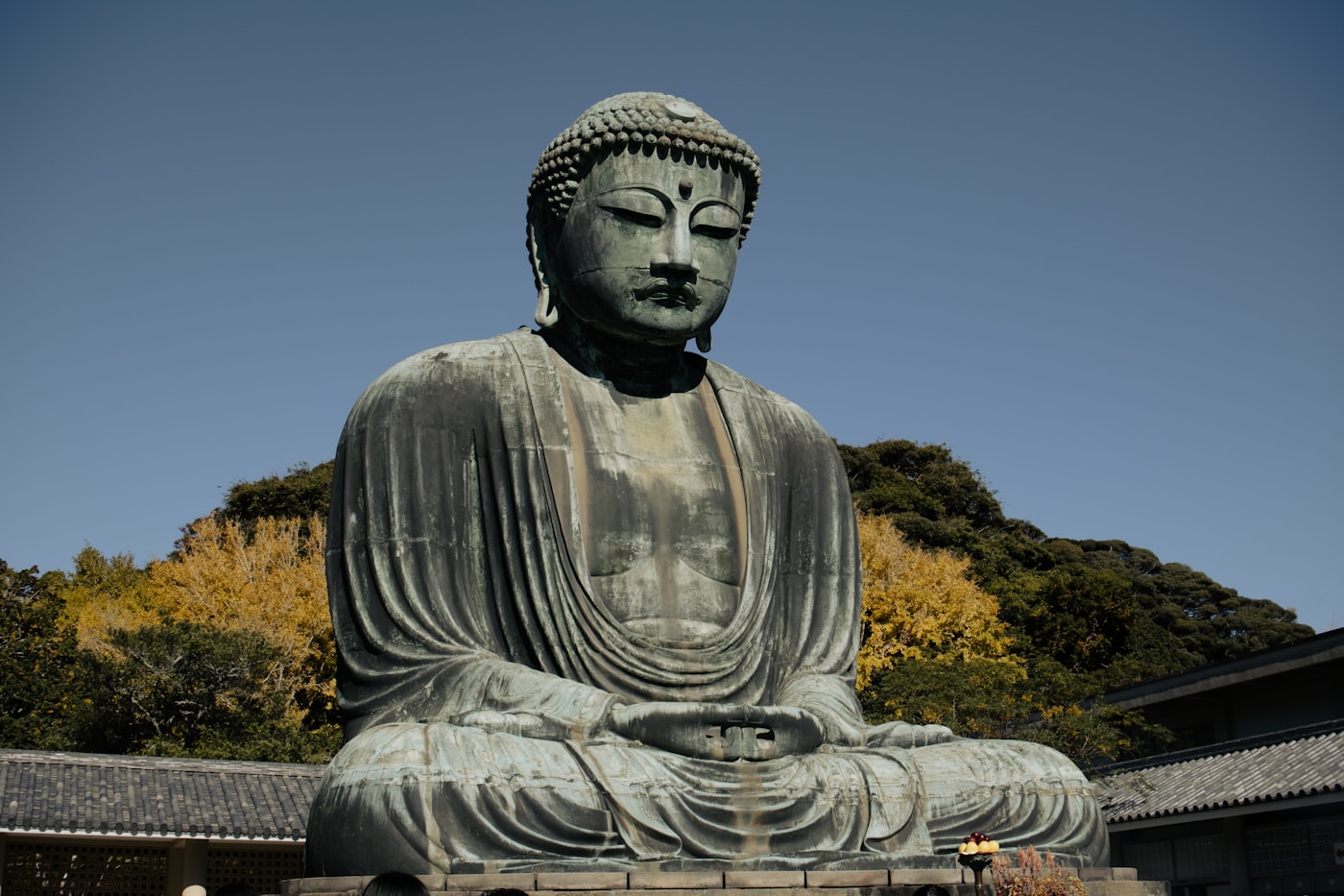 Great Buddha of Kamakura surrounded by trees in Kanagawa
