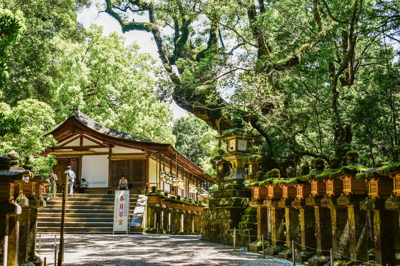 Rows of stone lanterns at Kasuga Taisha, Nara