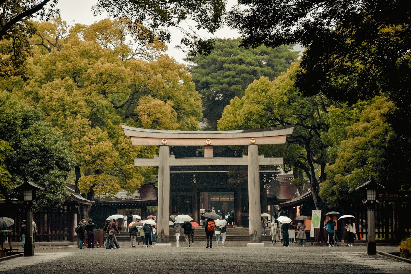 A large wooden torii gate among the trees at Meiji Jingū