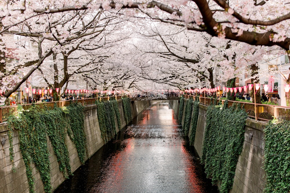 Meguro