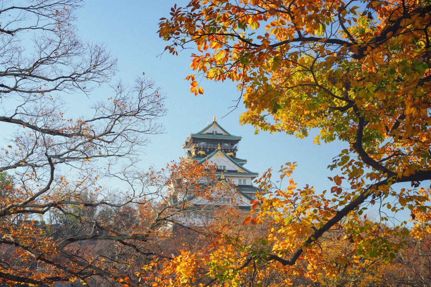 A traditional Japanese castle keep framed by autumn foliage, representing Tsuruga Castle in Aizu-Wakamatsu, Fukushima